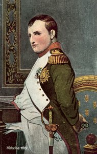 Waterloo 1815, Napoleon door European School